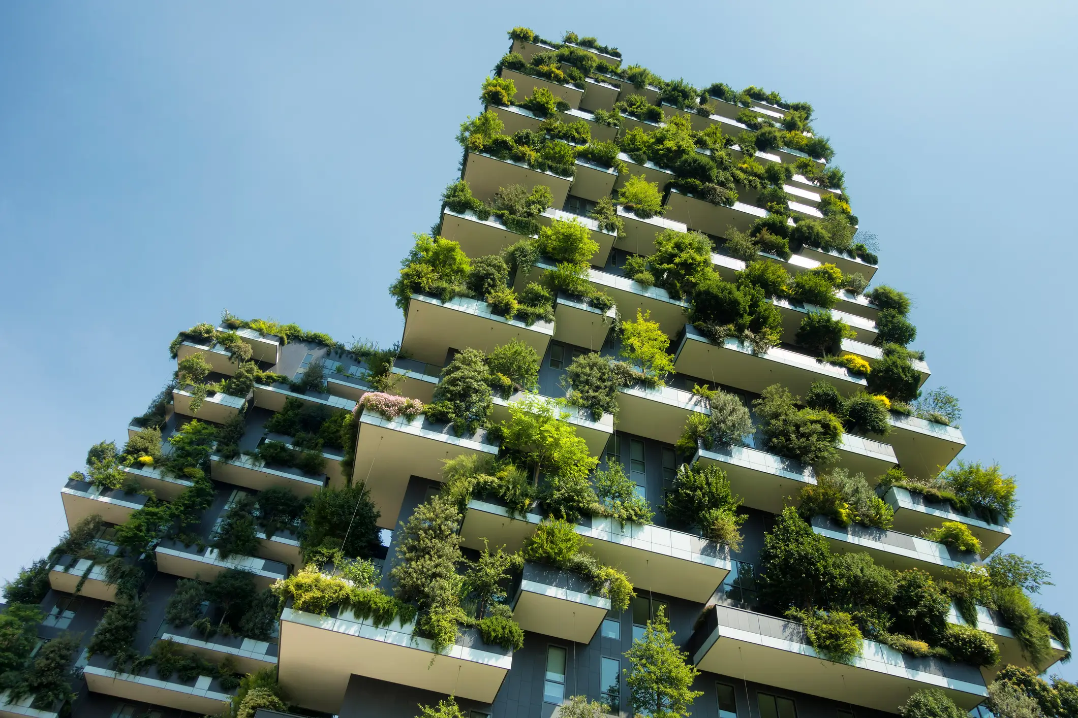 Calcule o seu CO₂ dos seus projetos